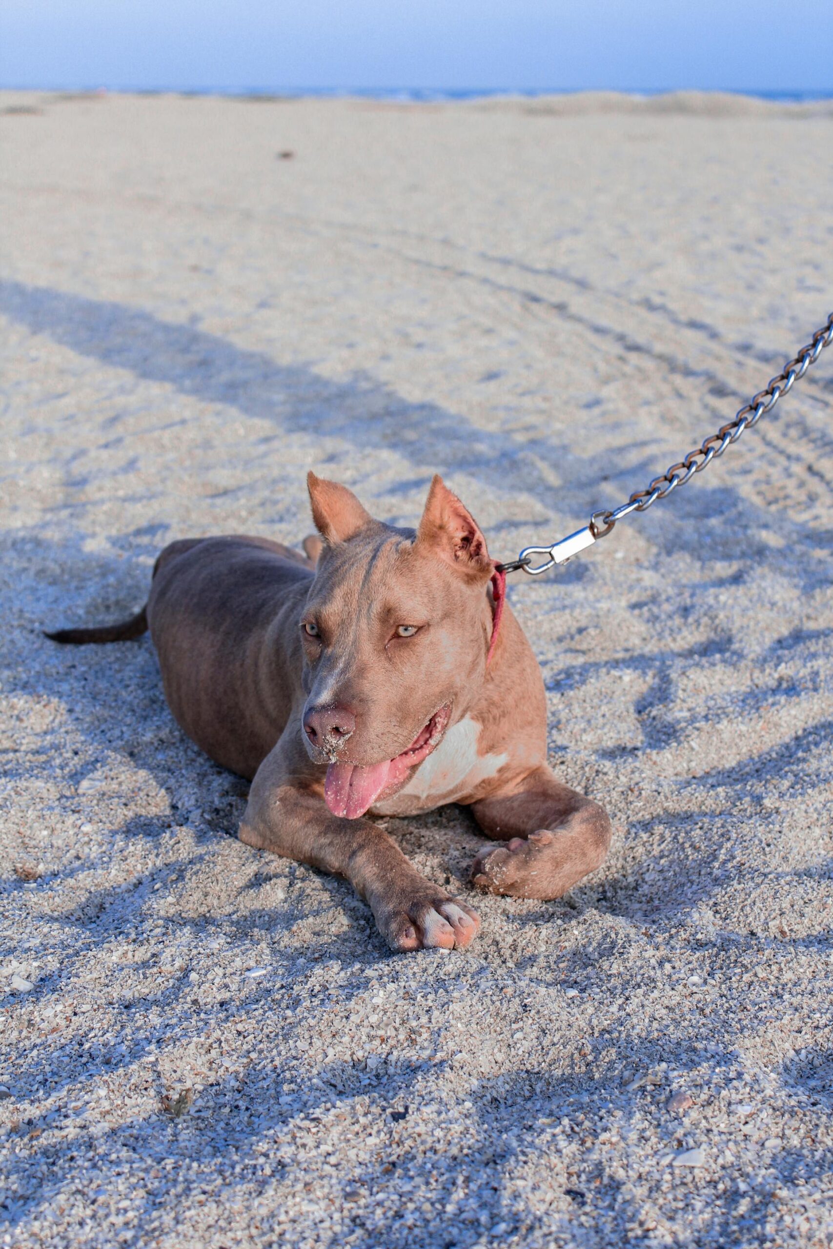 pexels-brianjiz-7611680